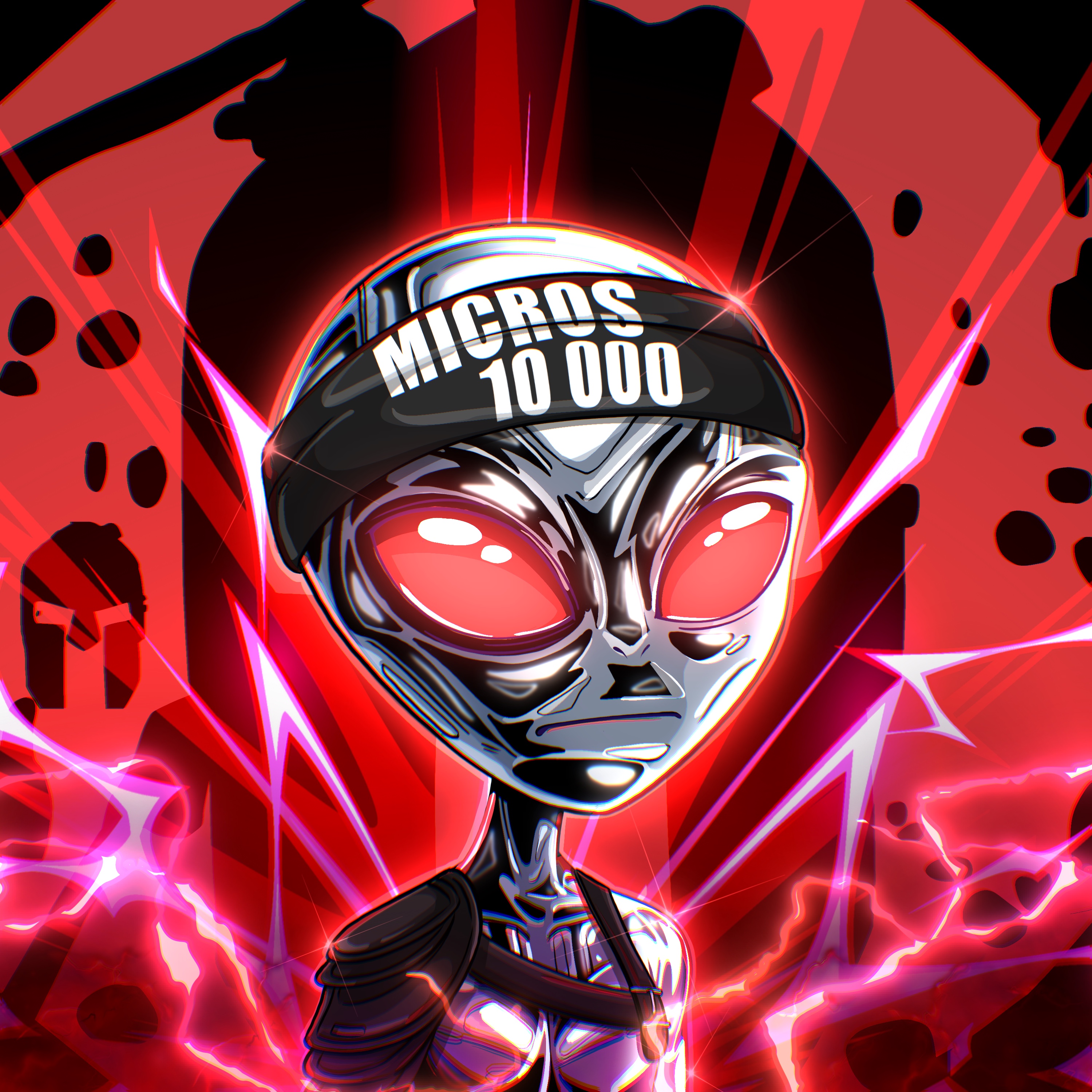 Micros #10007